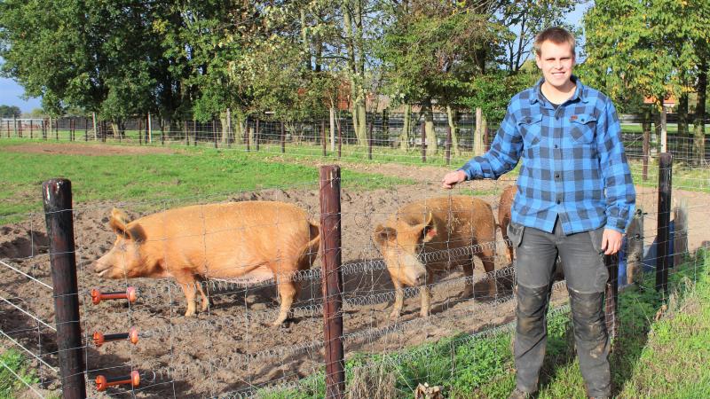Niels Van Hoenacker startte De Veldhoeve met Tamworth-varkens.