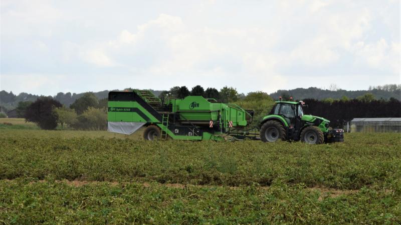 Ten opzichte van vorig jaar meldt NEPG dat vooral België opvalt door de lagere productie, namelijk 18,7% minder.
