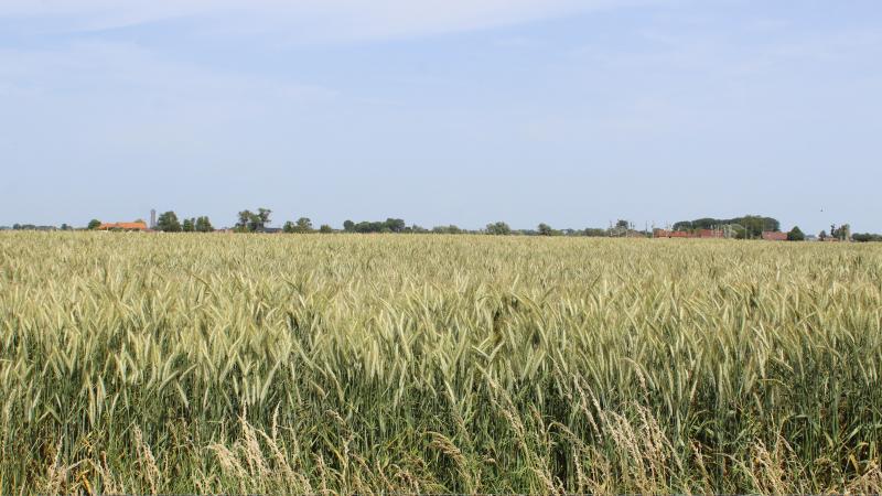 Fernand Huts kocht de 79 percelen (goed voor 450 ha landbouwgrond in Zeeuws-Vlaanderen) voor 17,5 miljoen euro.