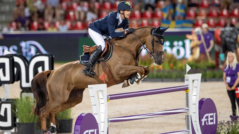 King Edward scheerde dit jaar al meermaals hoge toppen, en won nu ook de titel  ‘Landbouwleven Paard van het Jaar’.