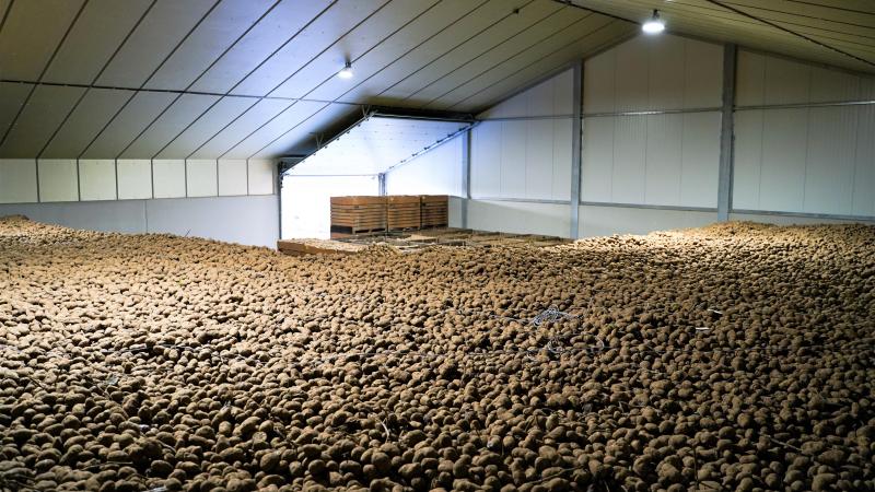 De aardappelprijzen blijven deze week gelijk aan de vorige week.