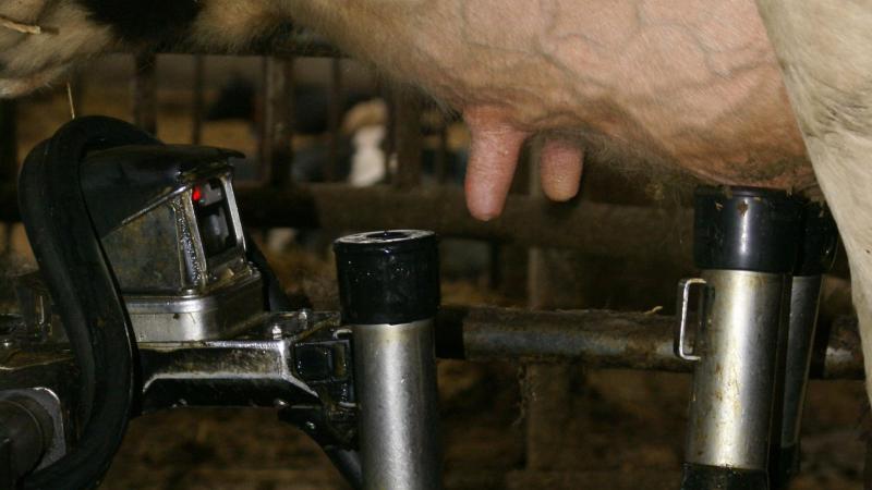 De EU27 lijkt over oktober af te stevenen op ca. +1,5% meer melk.