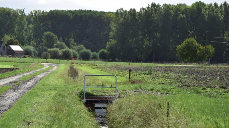 Tussen boeren en natuur kunnen er win-winsituaties ontstaan.