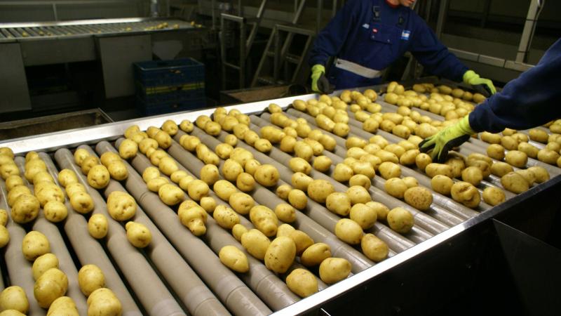 Fontane en Challenger kennen dezelfde Belgapomnotering als vorige week. Innovator stijgt in prijs.