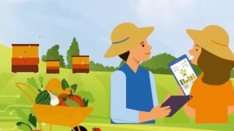 Het EU-proefproject QuantiFarm wil de effecten van digitalisering in de landbouw beoordelen.