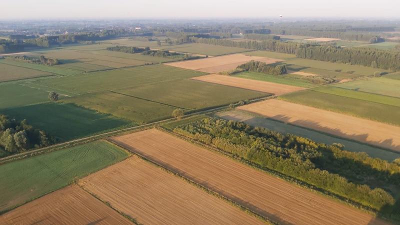 Europa formuleert haar doelstellingen in termen van productiemethoden en inputs, maar de eigenlijke ambitie ligt elders.