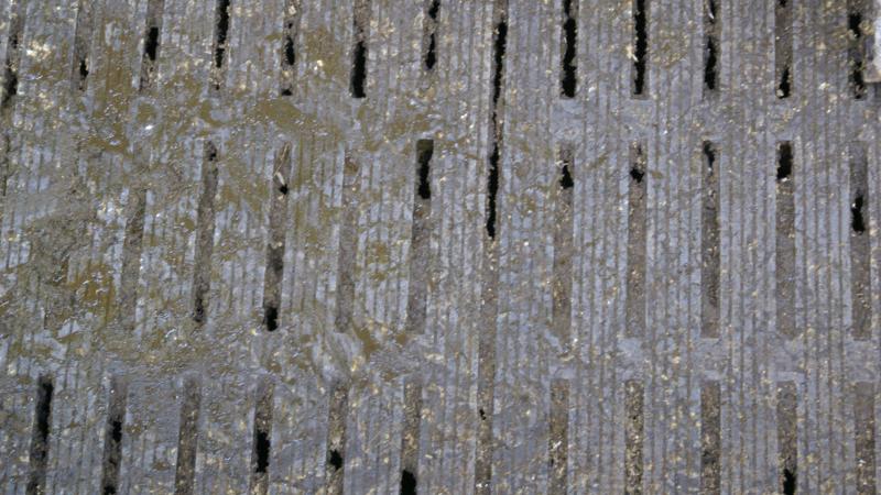 Ammoniak wordt gevormd zodra de urine en feces (dikke fractie) met elkaar in contact komen.