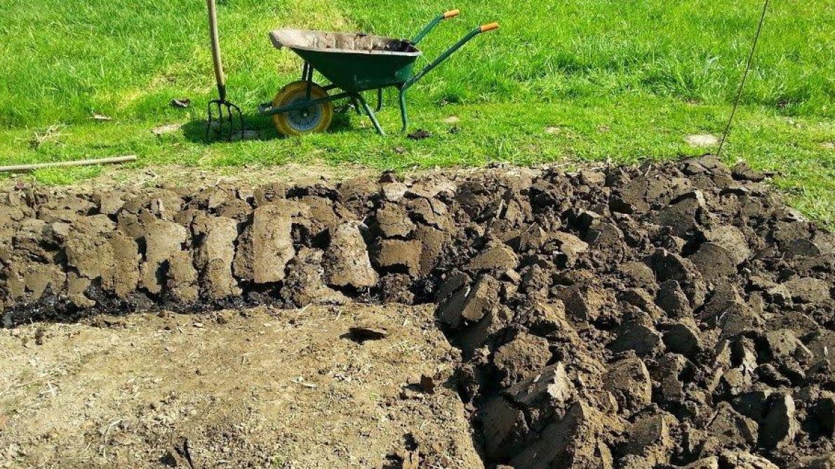 De Moestuin Spitten Of Niet Spitten Dat Is De Vraag Landbouwleven