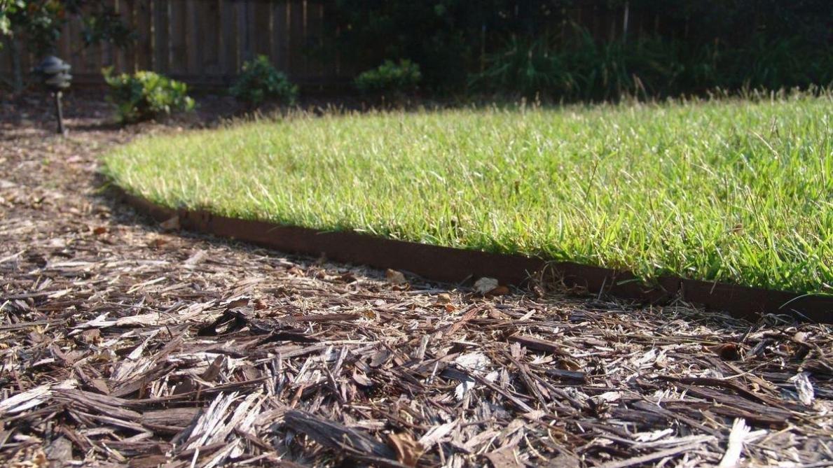 mulchen bodembedekking houdt de grond gezond landbouwleven