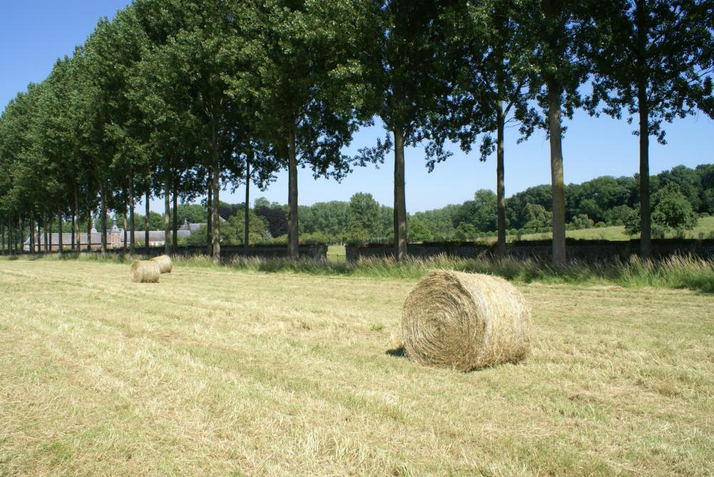 20.000 Belgen laten stem horen voor ander Europees landbouwbeleid