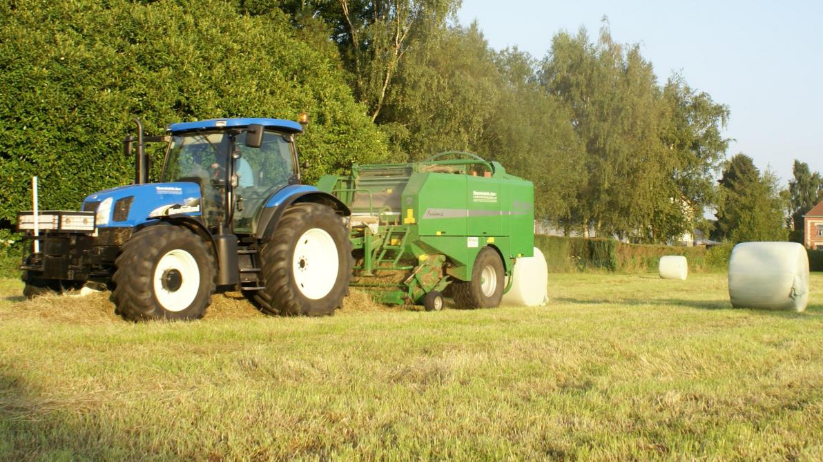 servet Toepassen Spectaculair Voordroog voor paarden maken is een delicate kwestie - Landbouwleven