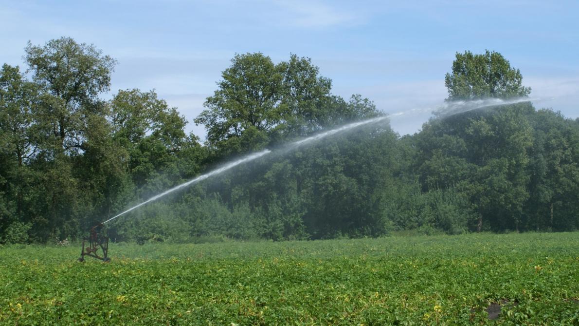 Gouverneur West-Vlaanderen verbiedt oppompen water