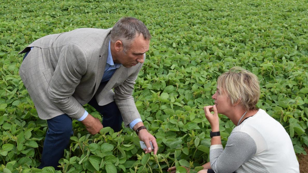 Hier legt landbouwer Jimmy De Prins uit aan minister Joke Schauvliege hoe hij erin slaagt om soja op Vlaamse bodem te telen.