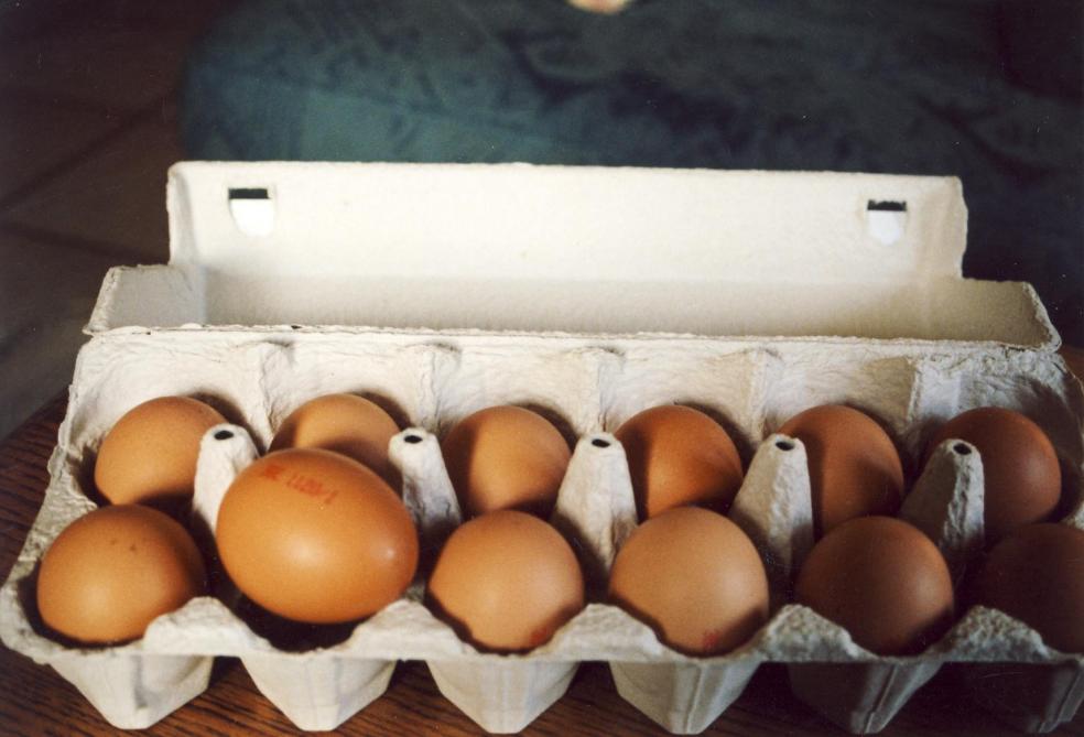 Fipronil in eieren: de zaak gaat door in België, Nederland en Duitsland