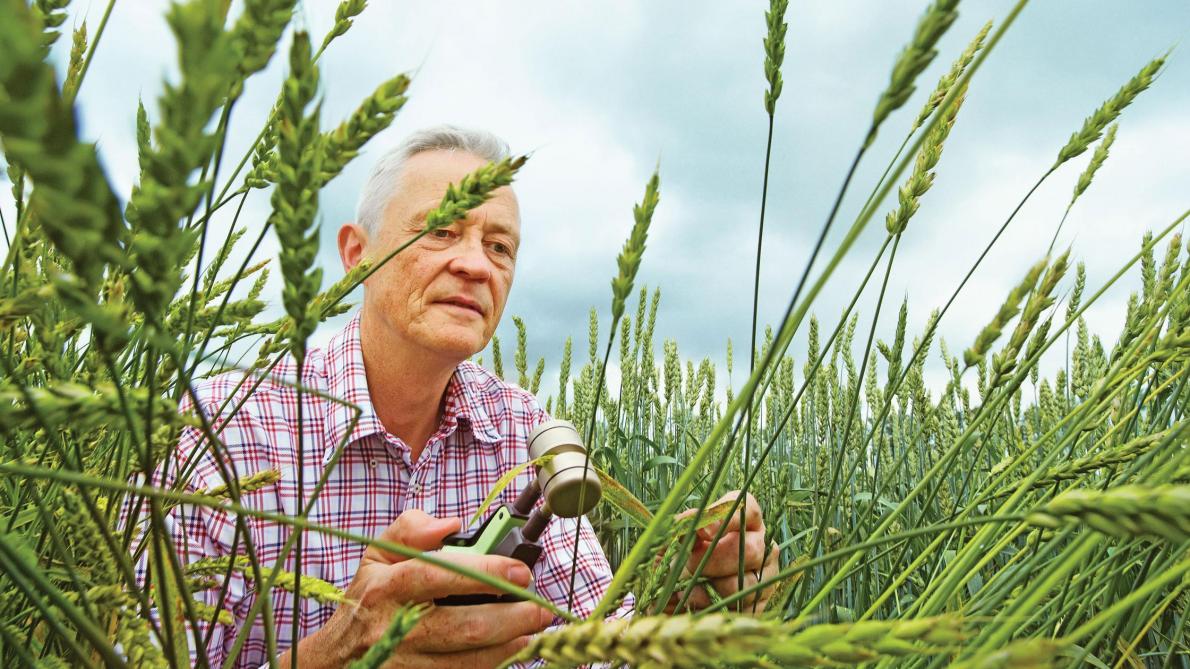 Bayer en Monsanto bekampten elkaar decennialang, maar hebben uiteindelijk veel gemeen. Beide bedrijven investeren veel in knowhow over zaden en gewasbescherming.