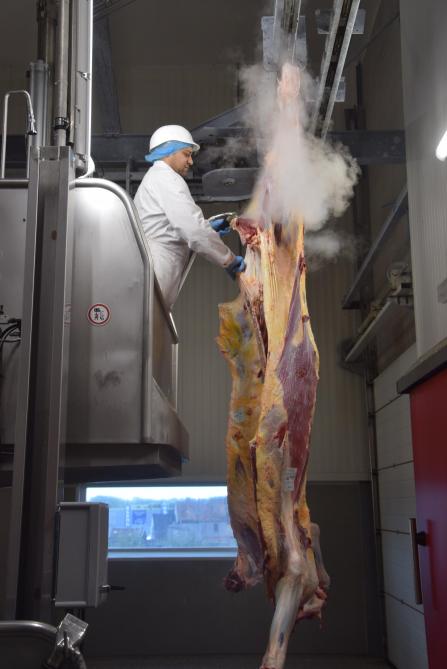 Via een steamer worden de laatste verontreinigingen van het karkas verwijderd.