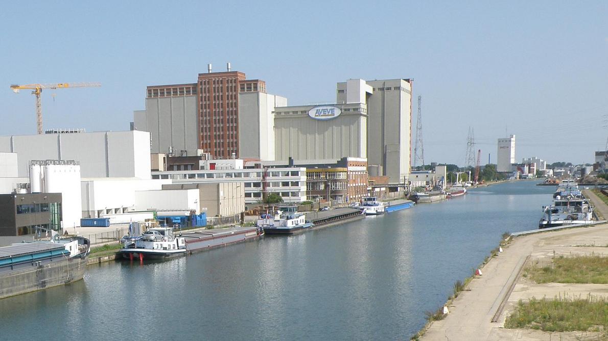 Topman Voederbedrijven Arvesta Verwacht Consolidatieslag Landbouwleven