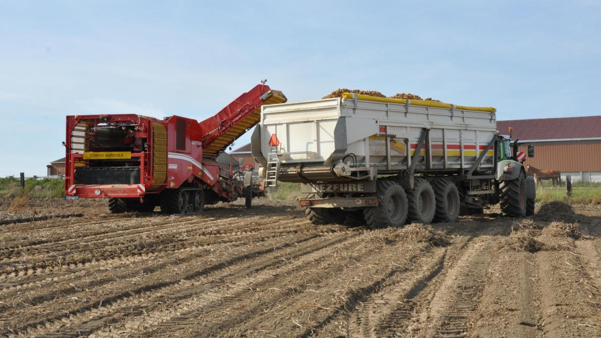 Clarebout wil honderden miljoenen steken in