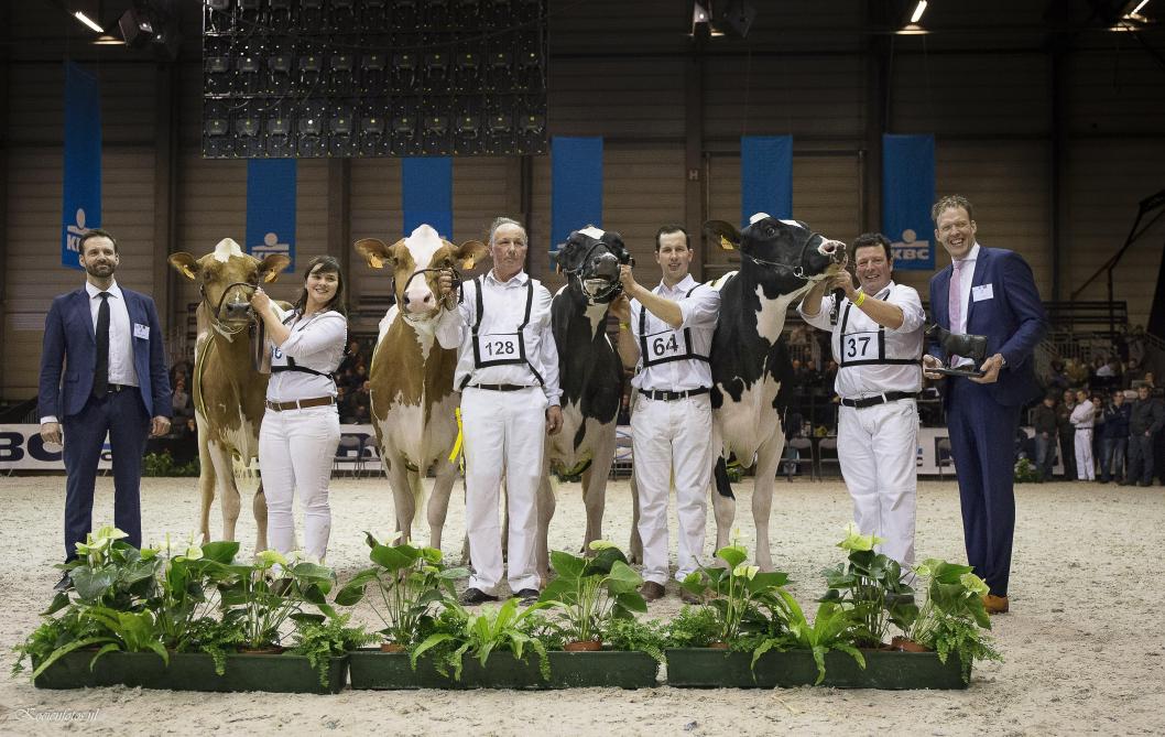 De jury poseert samen met de vier kampioenes (Jong en Volwassen bij roodbont en zwartbont).