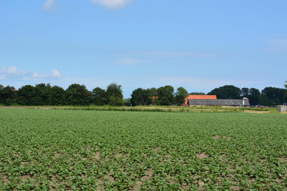 Verlies Van Notariele Akte Wat Te Doen Landbouwleven