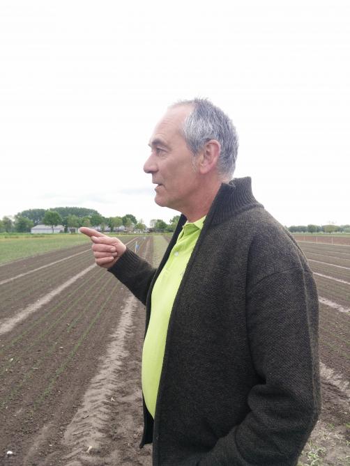 Groenteteler Frank Schelfhout betreurt het verdwijnen van collega’s in zijn streek, Klein-Brabant.