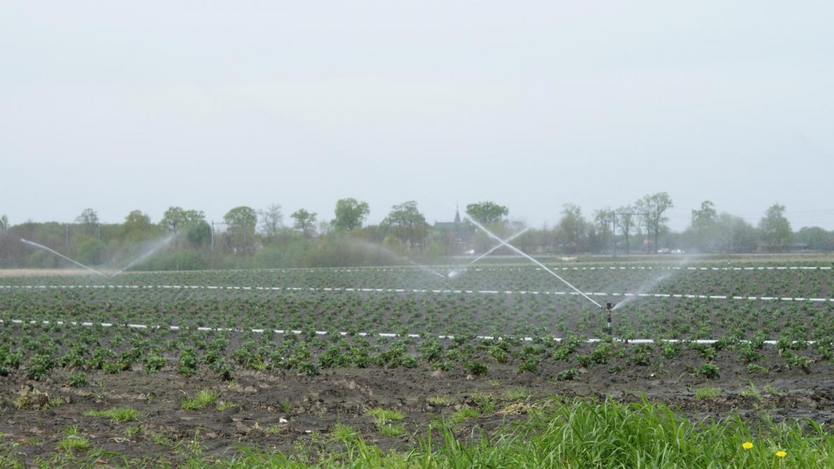 Twee operationele groepen onderzoeken de mogelijkheden van alternatieve waterbronnen.