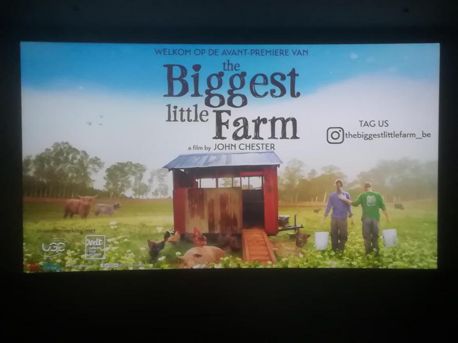 Biggest little farm is een documentaire die een einde maakt aan veel waanvoorstellingen die burgers hebben over het wel en wee op een boerderij.
