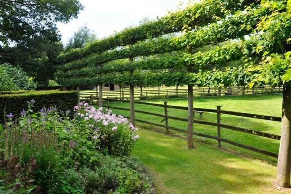 een boom voor elke tuin leibomen landbouwleven