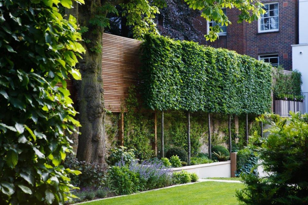 een boom voor elke tuin leibomen landbouwleven