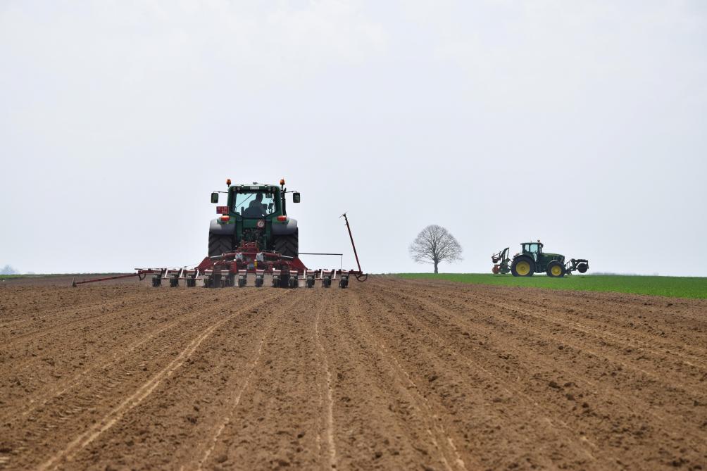 Vlaamse pachtprijs maakt in 2018 pas op de plaats - Landbouwleven
