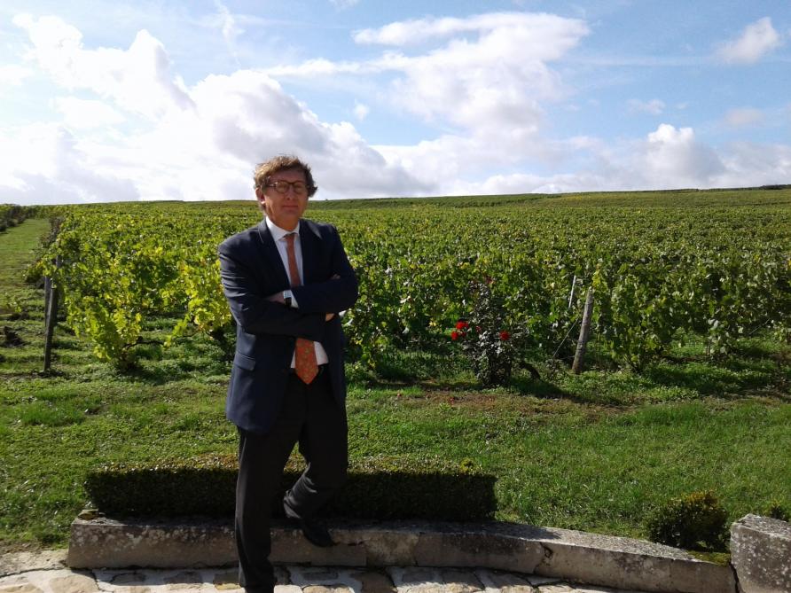 “Ik denk dat we nu op het hoogtepunt zitten wat betreft het verzorgen van 
de wijngaard”, vertelt wijngaardmanager Vincent Collard.