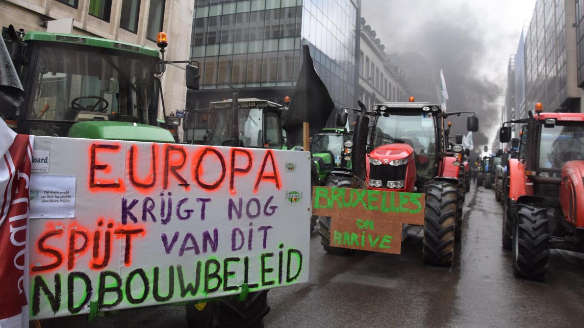 ABS en Boerenbond pleiten voor een boervriendelijk en goed gefinancierd Europees landbouwbeleid. Donderdag 20 februari wordt mogelijk de Europese meerjarenbegroting vastgesteld. Het is dus potentieel D-day.