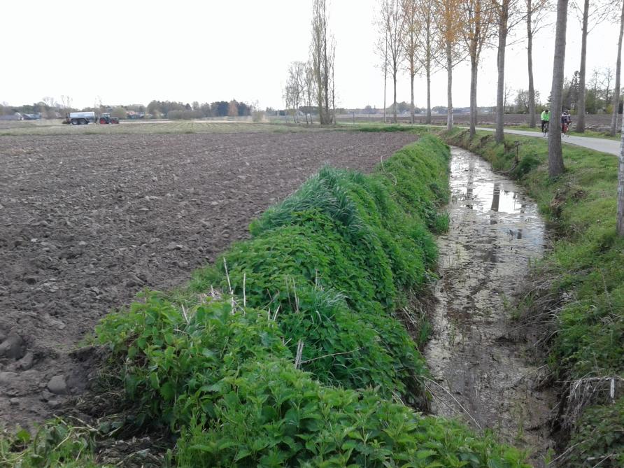 Er mag op verschillende plaatsen in Vlaanderen geen water opgepompt worden uit waterlopen.