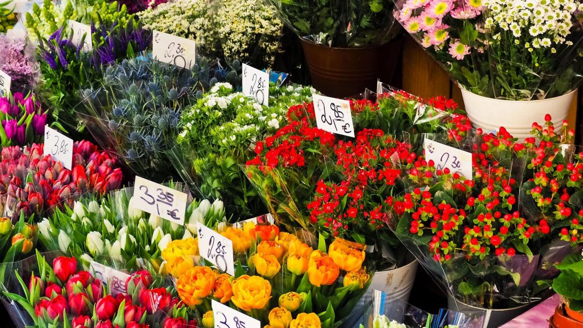 Onder meer bloemen en planten werden tijdens de lockdown meer online gekocht.
