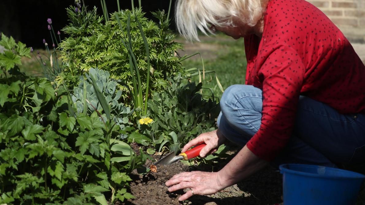 Vlaamse Tuinen Moeten Groener En Biodiverser Worden Landbouwleven