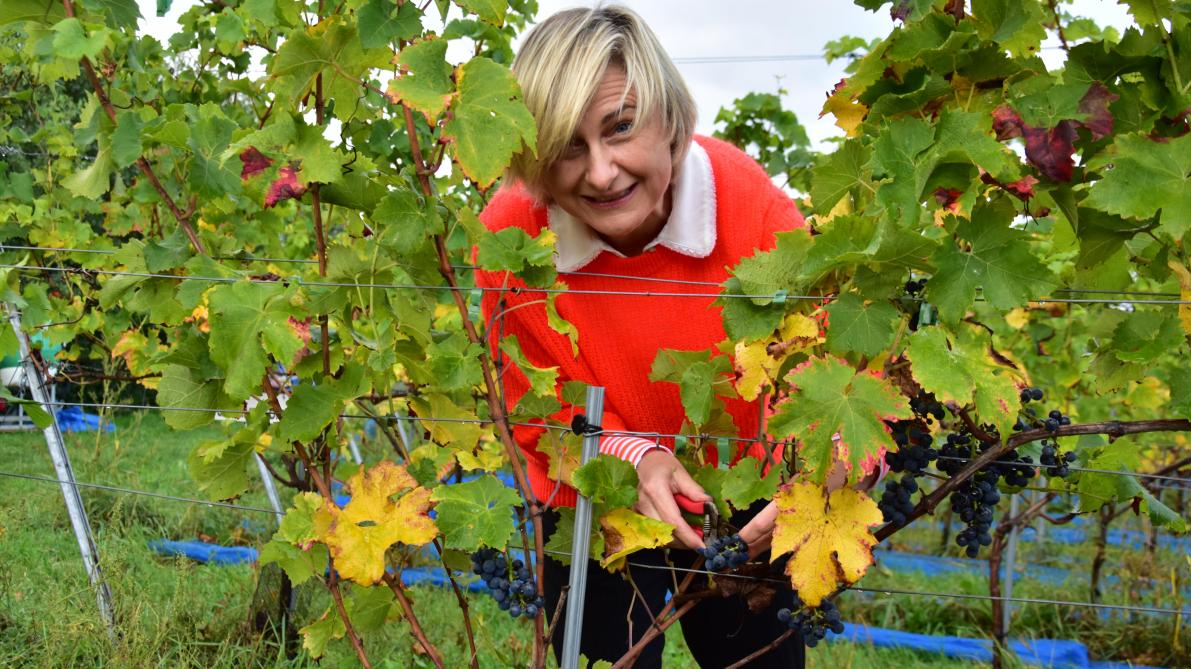 Onder meer Vlaams landbouwminister Hilde Crevits steunt de wijnboeren.