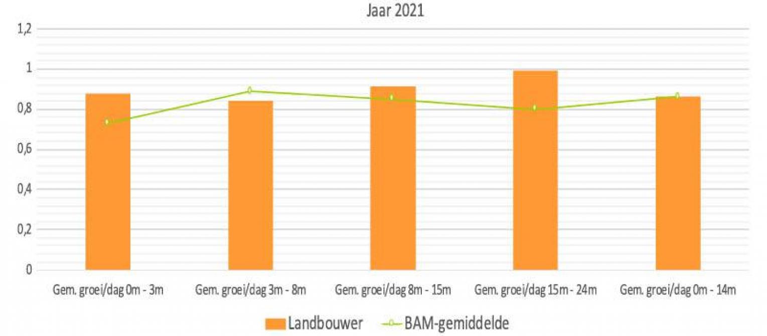 Figuur 1. In de Jongveetool kun je je eigen bedrijfsresultaten vergelijken met het BAM-gemiddelde.