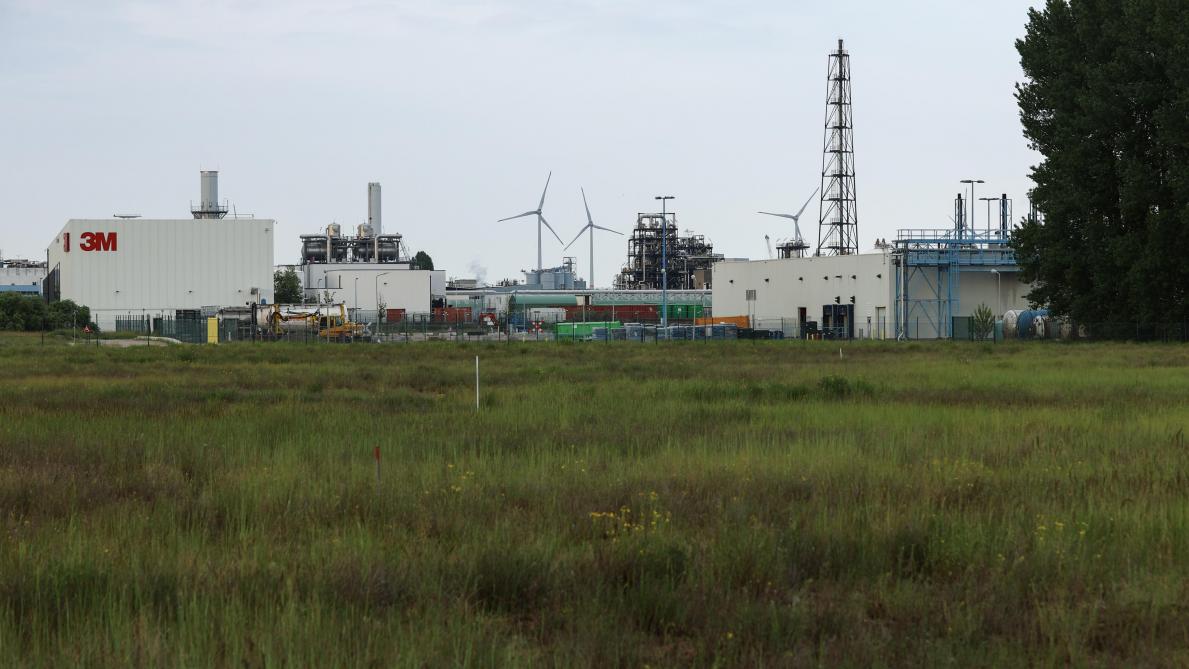 264 Land En Tuinbedrijven In 5 Km Zone Rond Vervuilde 3m Site In Zwijndrecht Landbouwleven