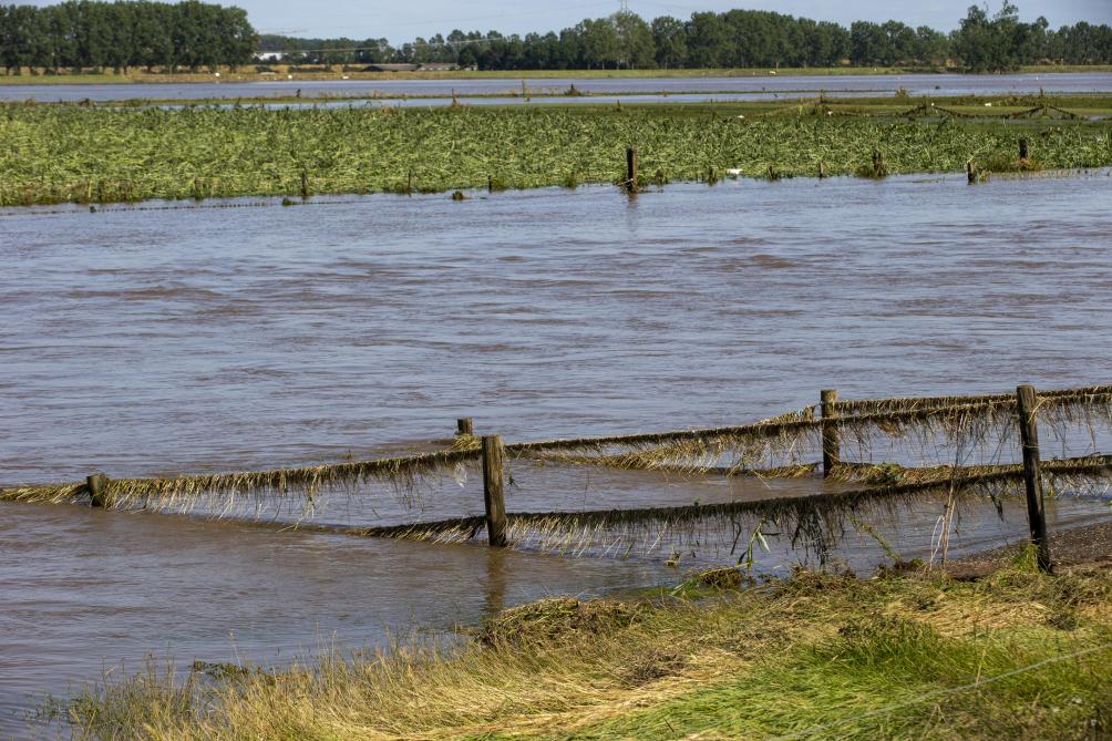 De overstromingen zorgden mogelijk voor contaminatie van velden en weiden. Dat moet geanalyseerd worden.