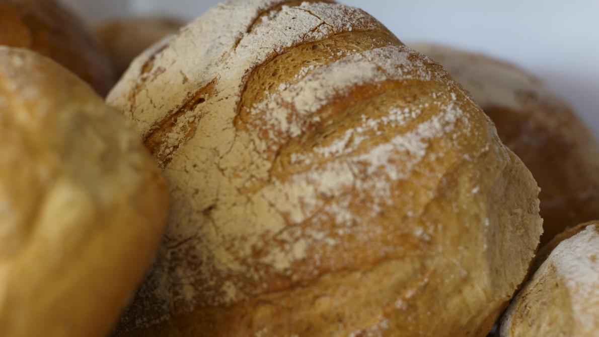 Vaarwel speling Sinis Prijzen van brood en granen in Europa: grote verschillen - Landbouwleven