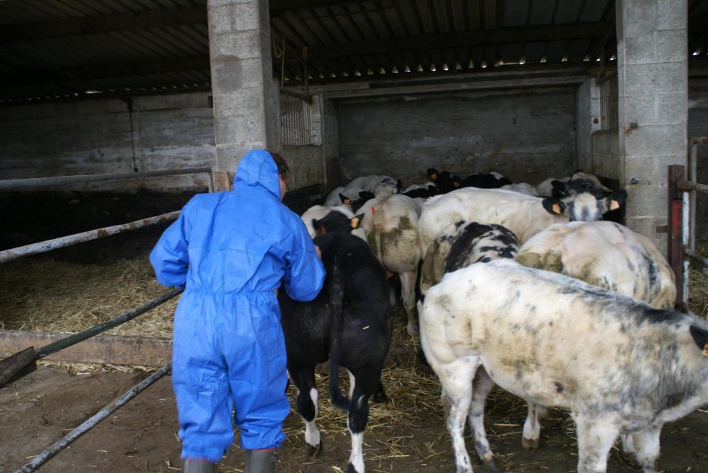 De dierenarts moet volgens Agrofront vergunde kritische antibiotica kunnen blijven gebruiken als laatste mogelijkheid om dieren te behandelen.