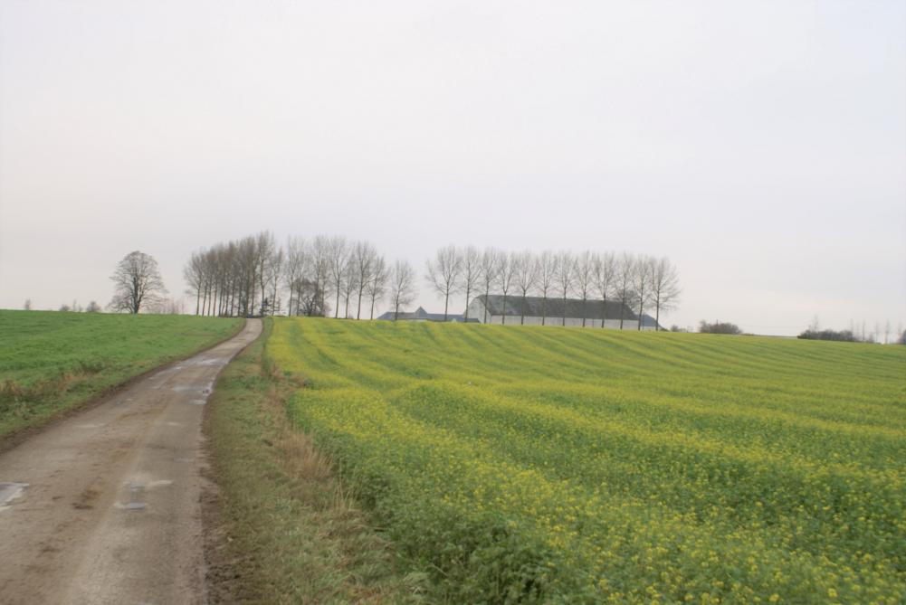 Waarom wordt de klimaatopwarming zo hard in de schoenen van de Vlaamse landbouwer geduwd?