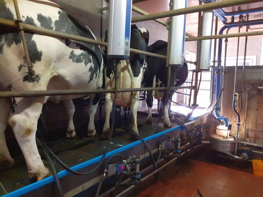 Gemiddeld worden er op een melkveebedrijf 20 bovenwettelijke duurzaamheidsinitiatieven toegepast.