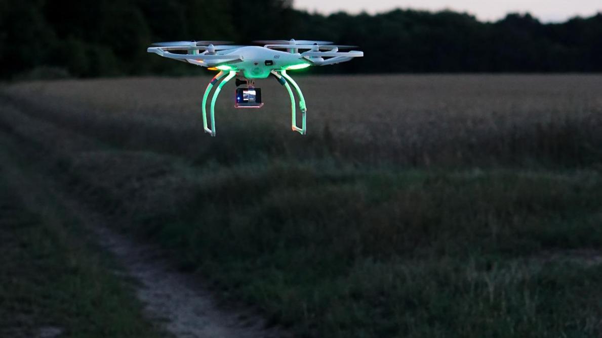 Tijdens de maïsoogst worden door de inzet van drones everzwijnen opgespoord.