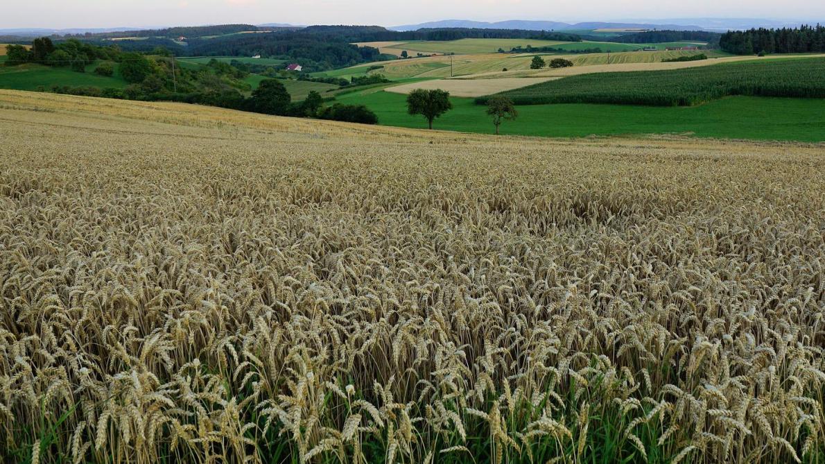 De Europese commissie wil niets weten van uitstel van de deadline voor de nationale landbouwplannen.