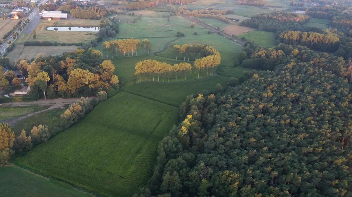 De bestemmingskaart in Vlaanderen is een zootje. 40.300 ha zijn binnen de landbouw nu natuur of bos is en 35.250 ha van groene bestemmingen zijn nu in landbouwgebruik.