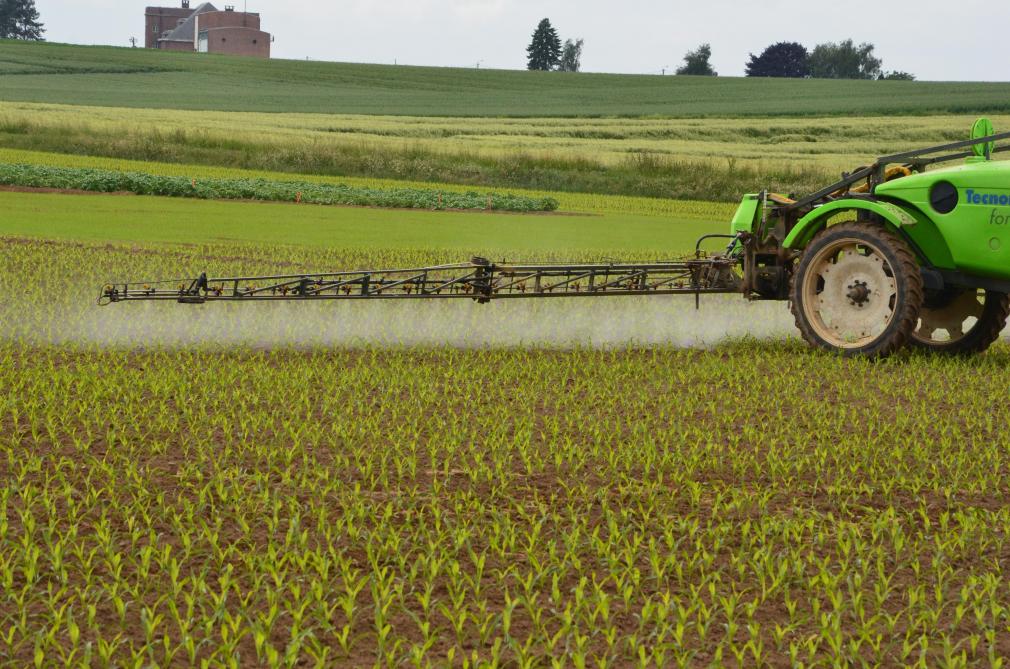 In 2019 was het pesticidengebruik in ons land met ongeveer 35% verminderd in vergelijking met de periode 2011-2013.