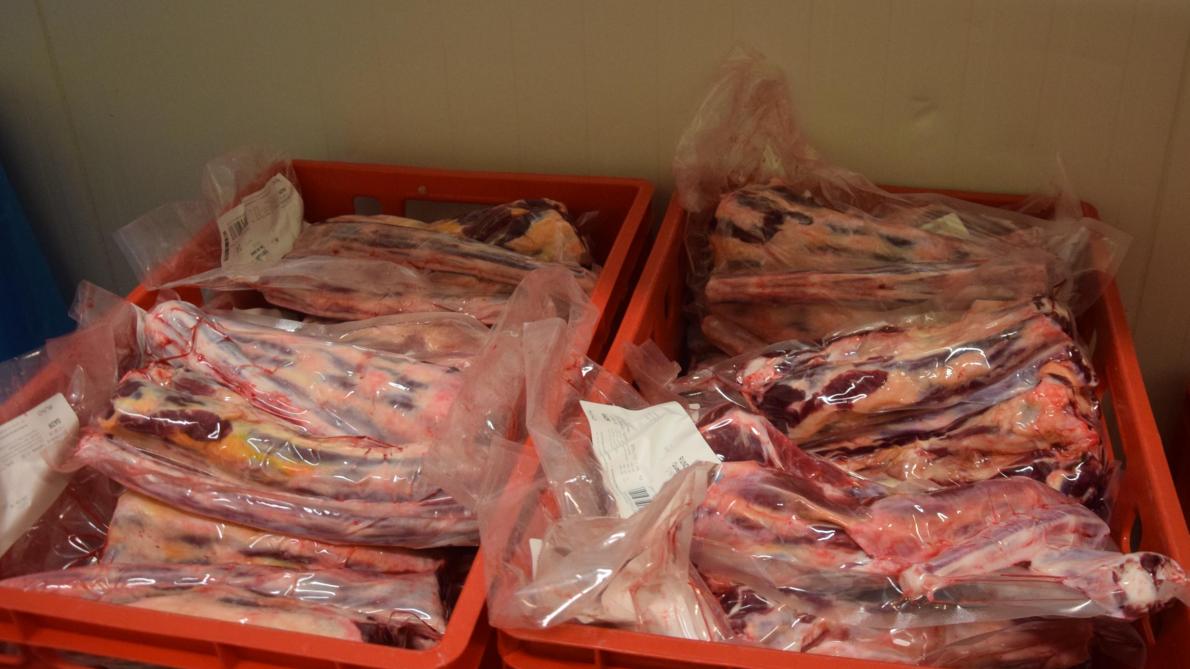 De Belgische Mededingingsautoriteit heeft een huiszoeking uitgevoerd in de vleessector.