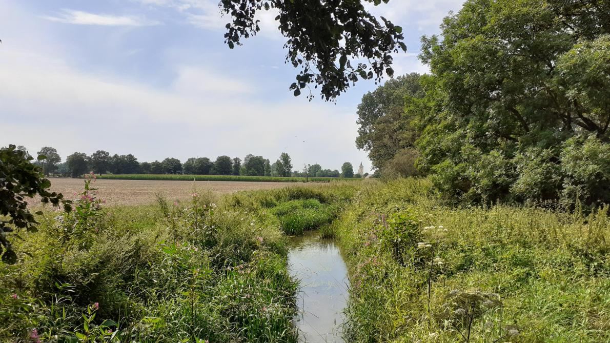 Ook landbouw kan helpen om een waterbom, zoals die vorige zomer in Wallonië viel, op te vangen.