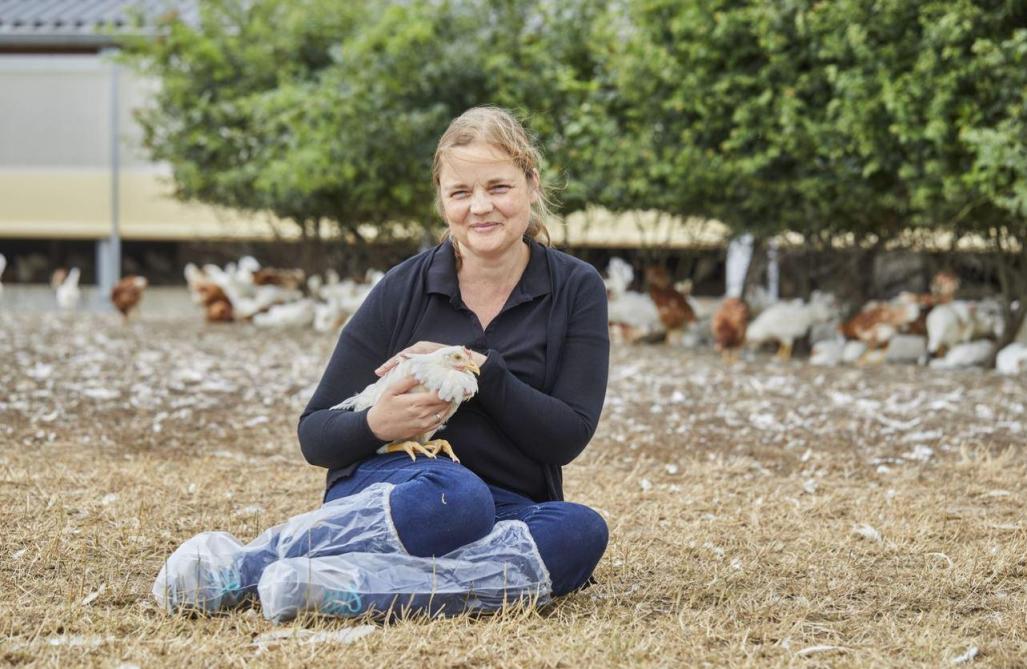 Bio-Planet verkoopt voortaan uitsluitend eieren uit productie zonder eendagshaantjes